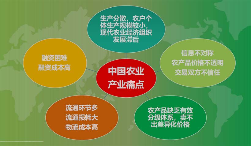 產(chǎn)業(yè)分析：中國農(nóng)業(yè)的5個關(guān)鍵問題